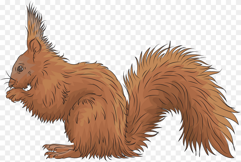 Squirrel Clipart Red Fox Squirrel, Animal, Mammal, Rodent, Fowl Png Image