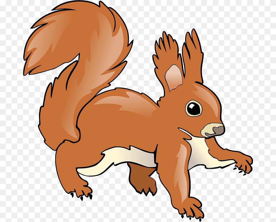 Squirrel Clipart Red Squirrel Clipart, Animal, Mammal, Rodent, Baby Free Png