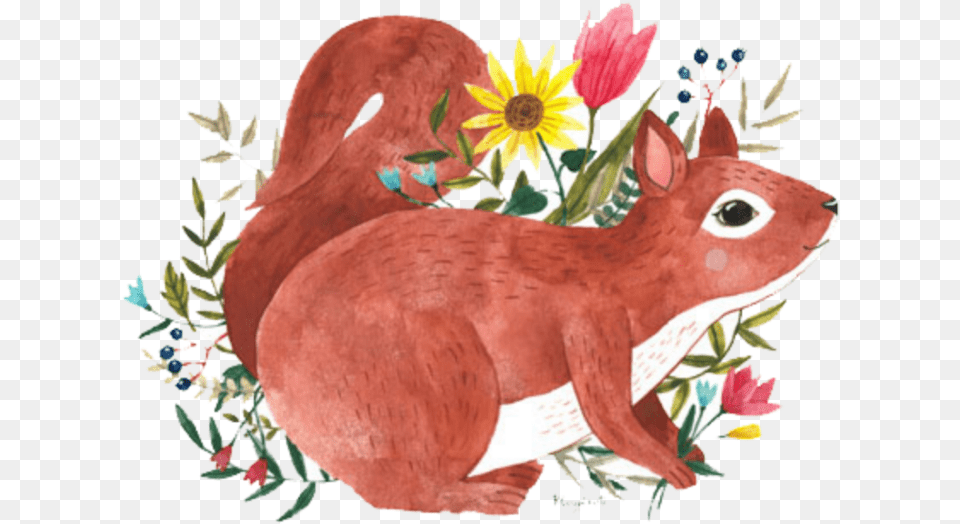 Squirrel Clipart Watercolor Illustration, Animal, Fowl, Chicken, Bird Png