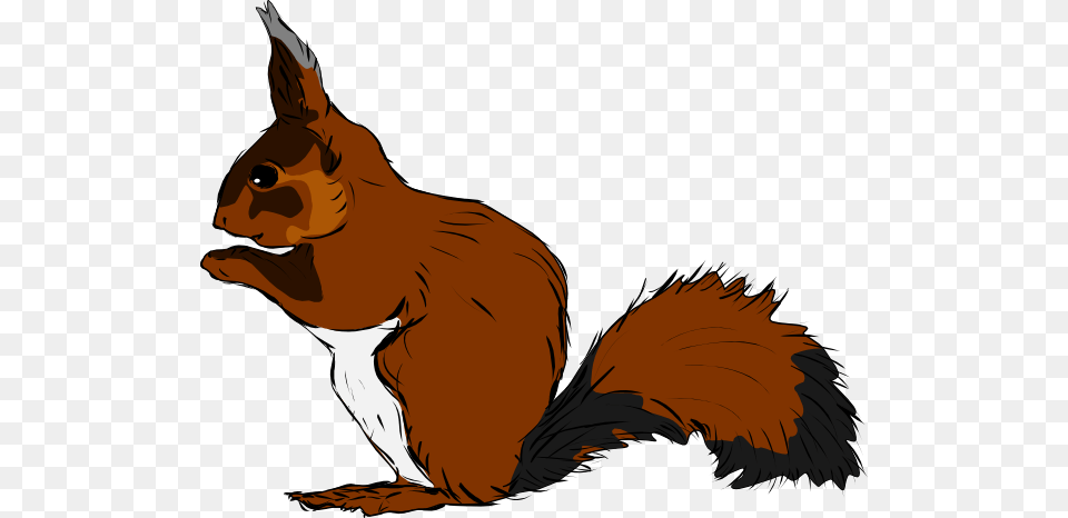 Squirrel Cliparts, Adult, Person, Man, Male Png
