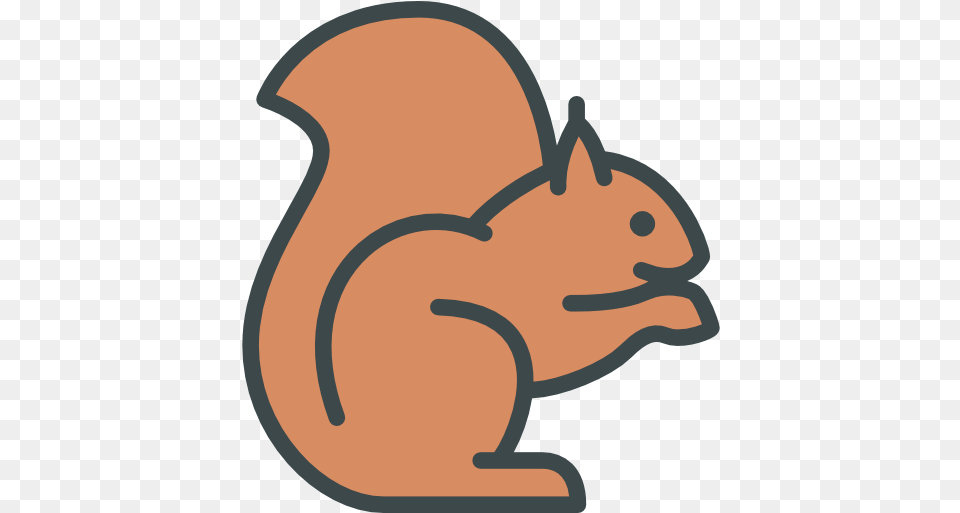 Squirrel Animals Icons Squirrel, Animal, Mammal, Rodent, Kangaroo Free Transparent Png