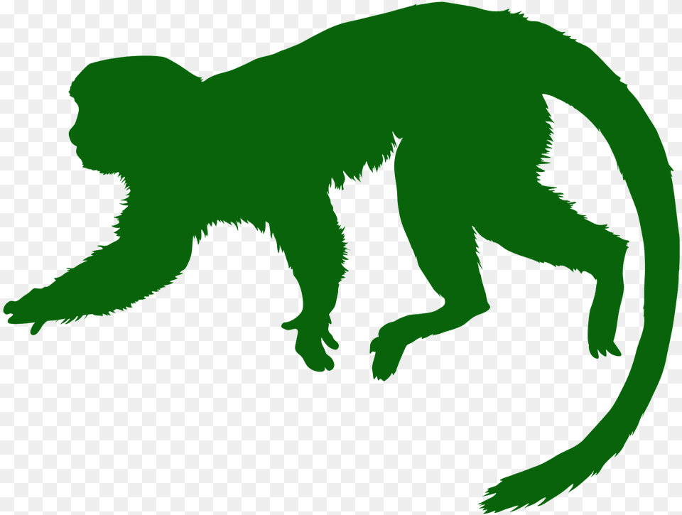 Squirrel Monkey Silhouette, Animal, Wildlife, Mammal, Dinosaur Png