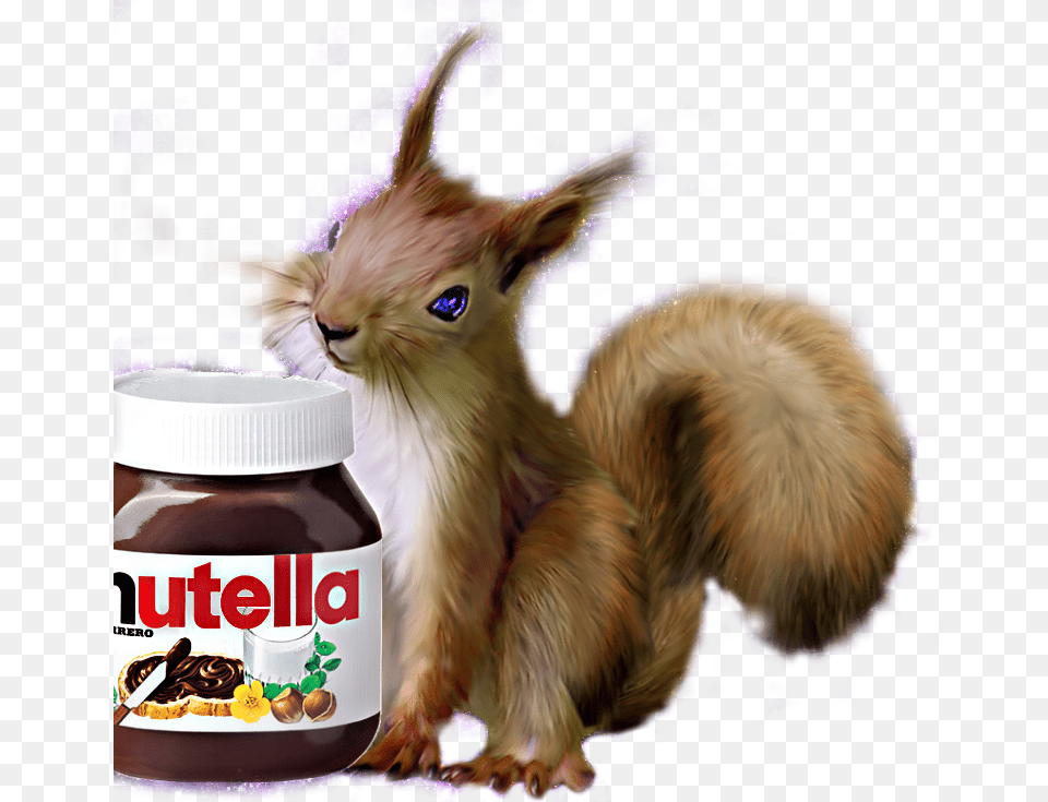 Squirrel Nutella Love Nutellalove, Animal, Bird, Chicken, Fowl Png Image
