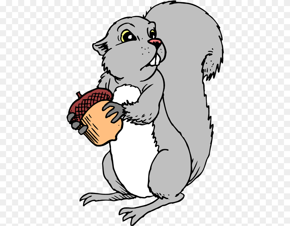 Squirrel Nuts Picture Gray Squirrel Clipart, Baby, Person, Vegetable, Food Free Png