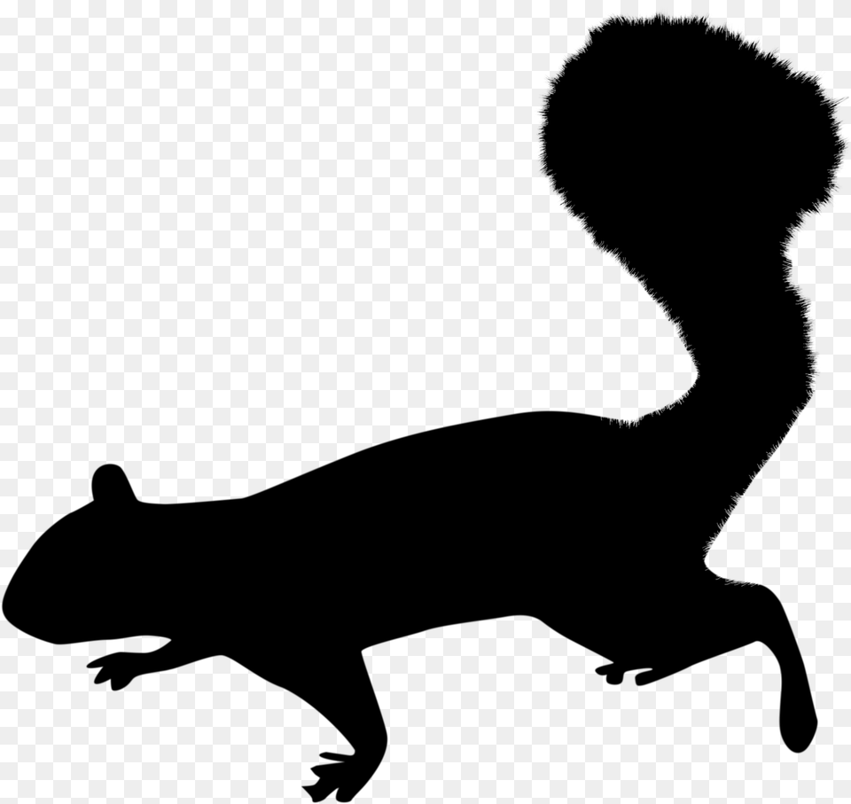 Squirrel Silhouette, Gray Free Png Download