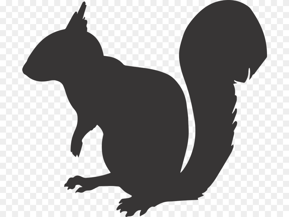 Squirrel Silhouette Animal Mammal Rodent Nature Squirrel Silhouette, Fish, Sea Life, Shark Free Png
