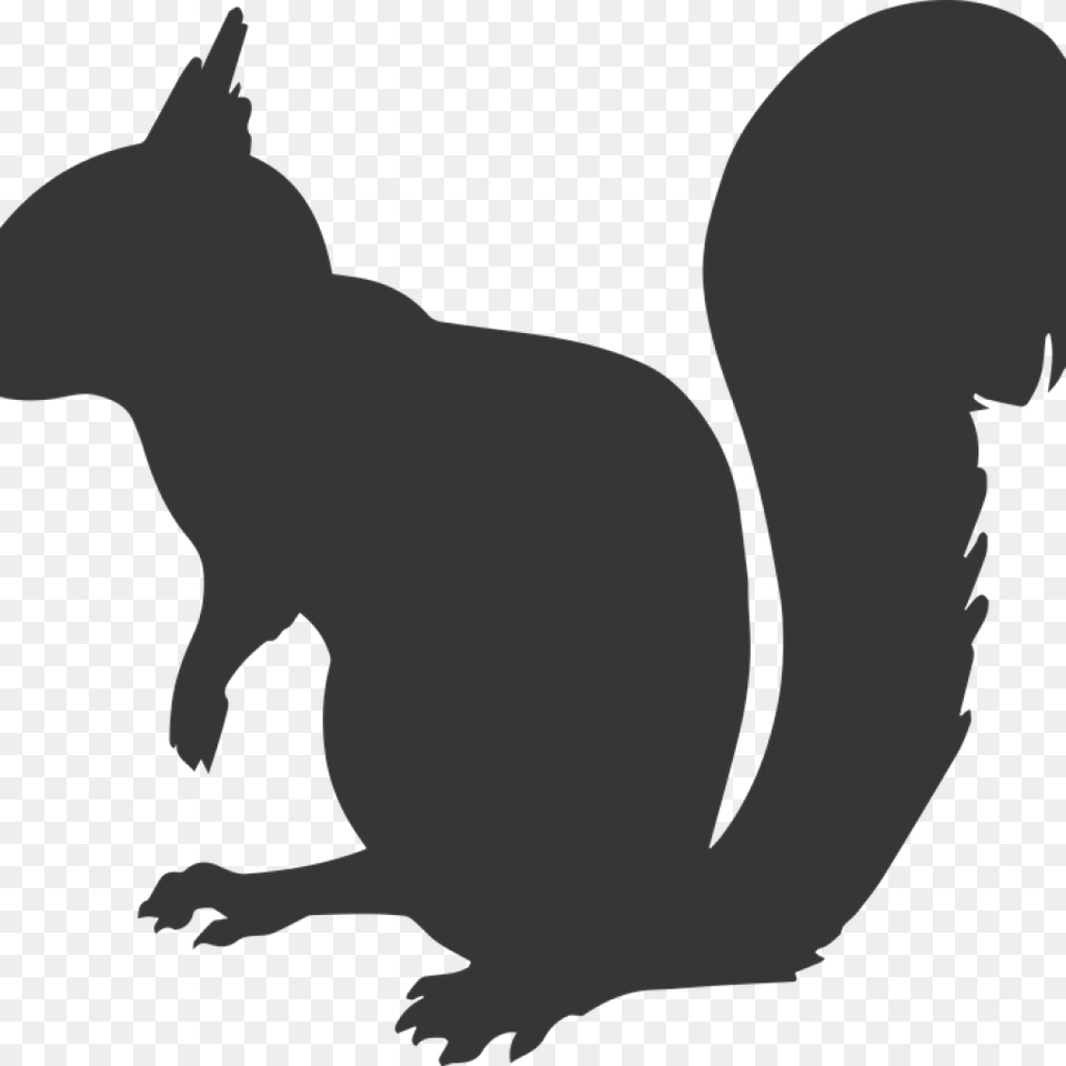 Squirrel Silhouette Animal Vector Graphic, Mammal, Rodent, Kangaroo Free Png Download