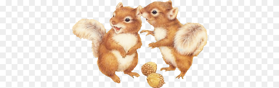 Squirrel Squirrels Fantasyart Fantasy Makebelieve Imagi Two Squirrels Clipart, Animal, Rodent, Mammal, Rat Free Png Download