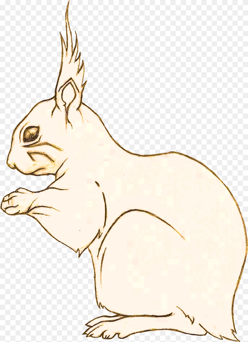 Squirrel Study Drawing, Baby, Person, Animal, Mammal Free Png