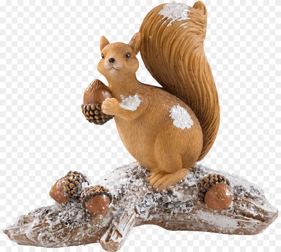 Squirrel With Acorns Fox Squirrel, Food, Nut, Plant, Produce Png Image