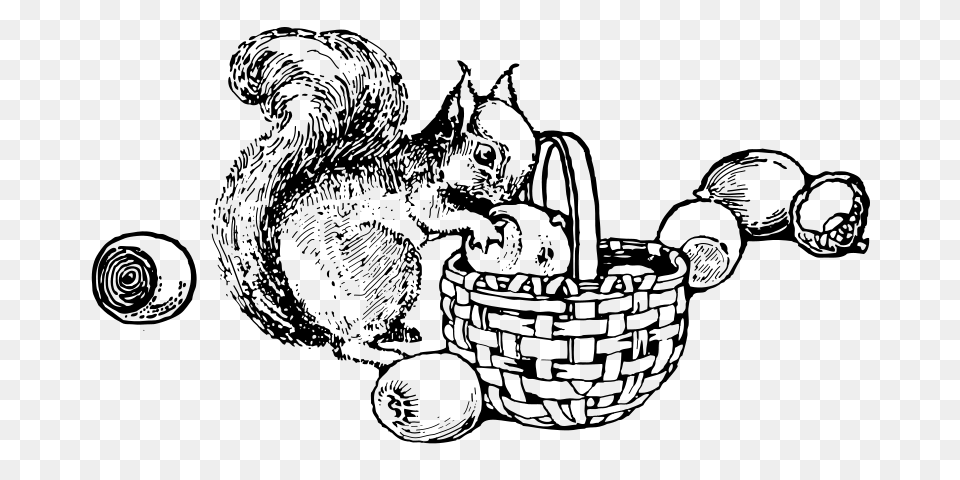 Squirrelandnuts, Gray Free Png