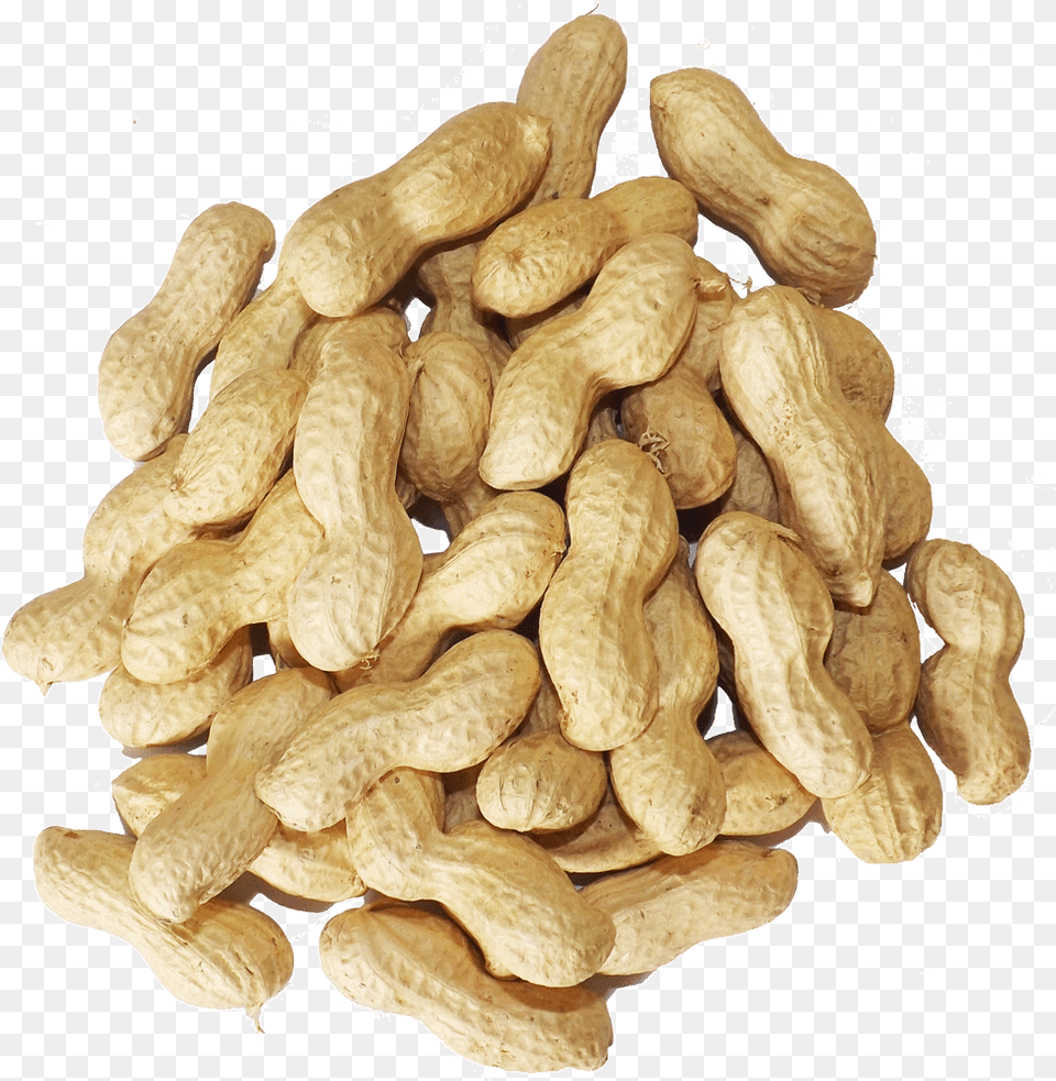 Squirrels Everywhere Pound Peanuts Peanut, Food, Nut, Plant, Produce Free Png Download
