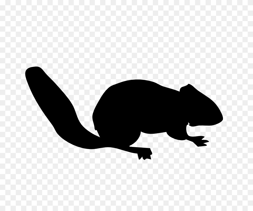 Squirrels Silhouette Clipart, Animal, Mammal, Rodent, Stencil Free Transparent Png