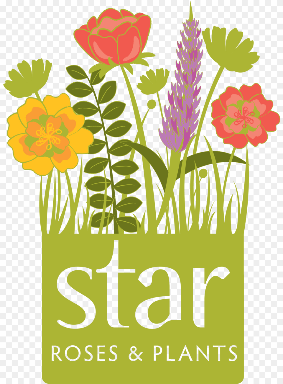 Srp Logo Star Roses And Plants Logo, Art, Graphics, Pattern, Floral Design Free Png Download