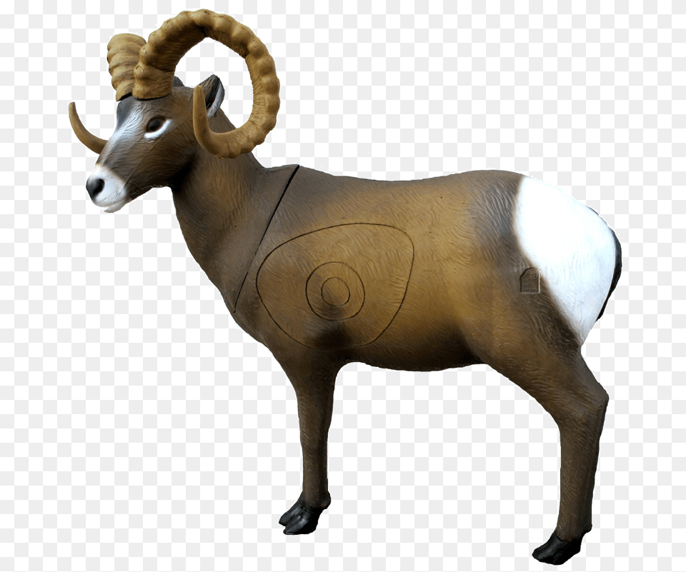 Srt Rocky Mountain Goat Bighorn Sheep, Animal, Antelope, Mammal, Wildlife Png Image