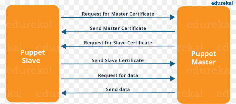Ssl Connection Between Puppet Master And Puppet Slave Puppet Master Slave Architecture, Text Free Png