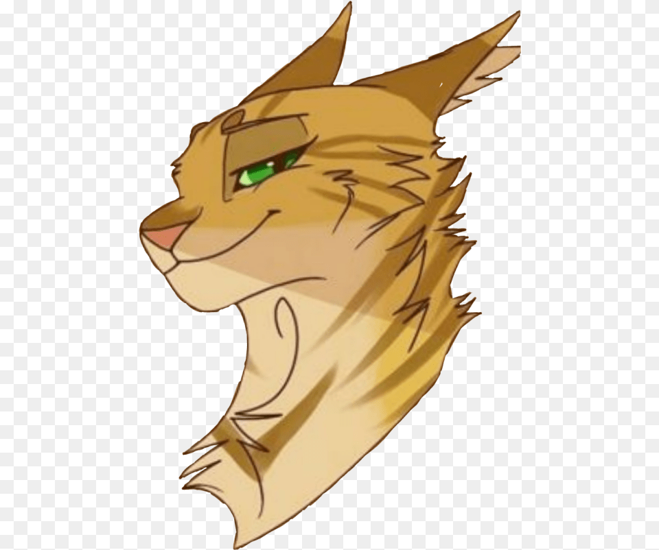 Sso Warriorcats Warriors Sleekwhisker Wojownicy Warrior Cats Sleekwhisker, Animal, Fish, Sea Life, Shark Free Transparent Png