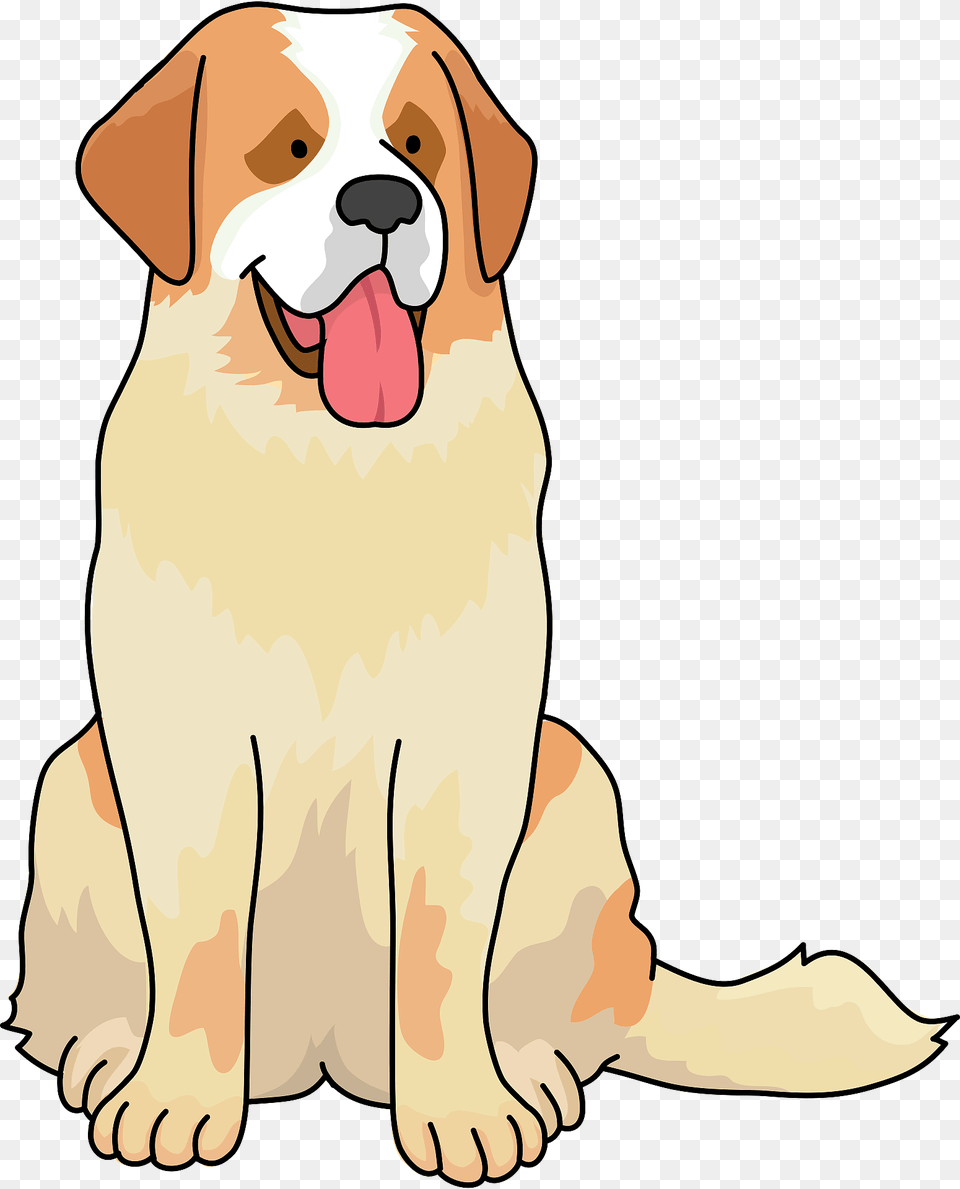 St Bernard Dog Clipart, Animal, Canine, Mammal, Pet Free Png