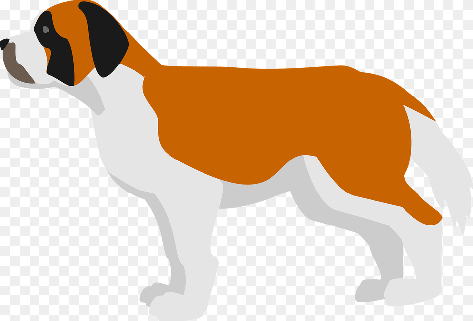 St Bernard Dog Clipart, Animal, Canine, Mammal, Pet Png Image