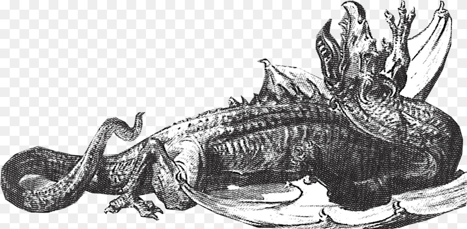 St George Serbian Orthodox Church Sketch, Animal, Iguana, Lizard, Reptile Png