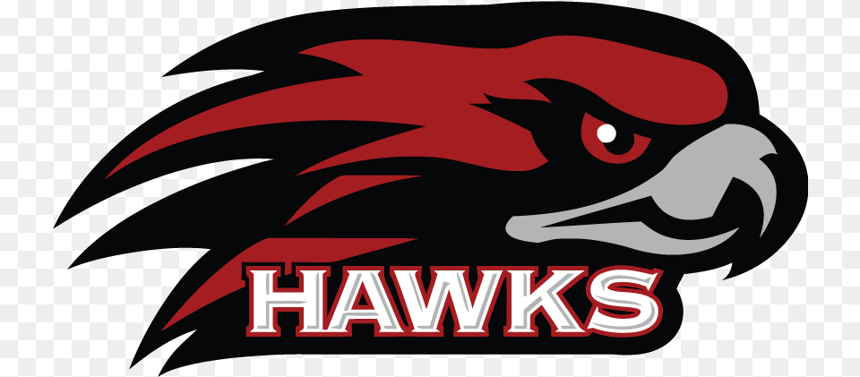 St Joe39s Hawks Logo, Animal, Beak, Bird, Transportation Png