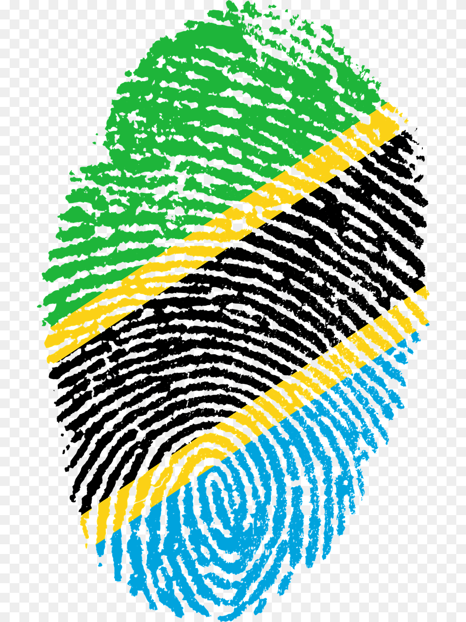 St Kitts Flag Fingerprint, Person Png Image