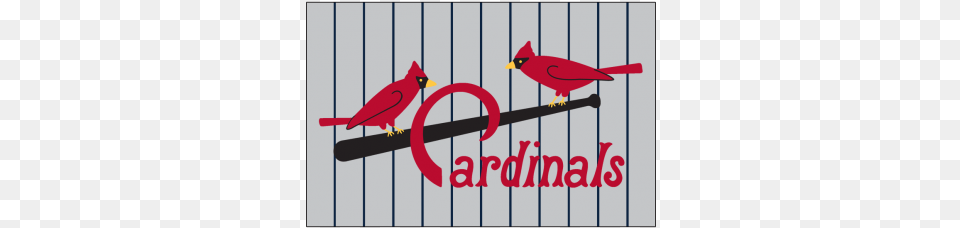 St Louis, Animal, Bird, Cardinal Free Png