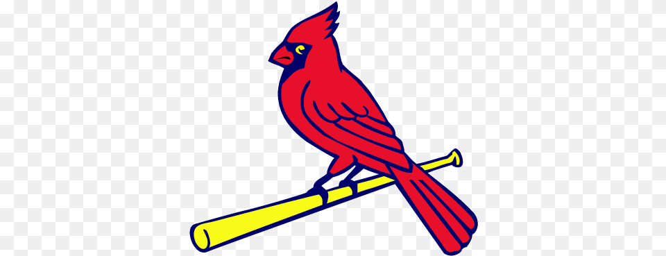 St Louis Cardinals, Animal, Bird, Cardinal, Person Free Transparent Png