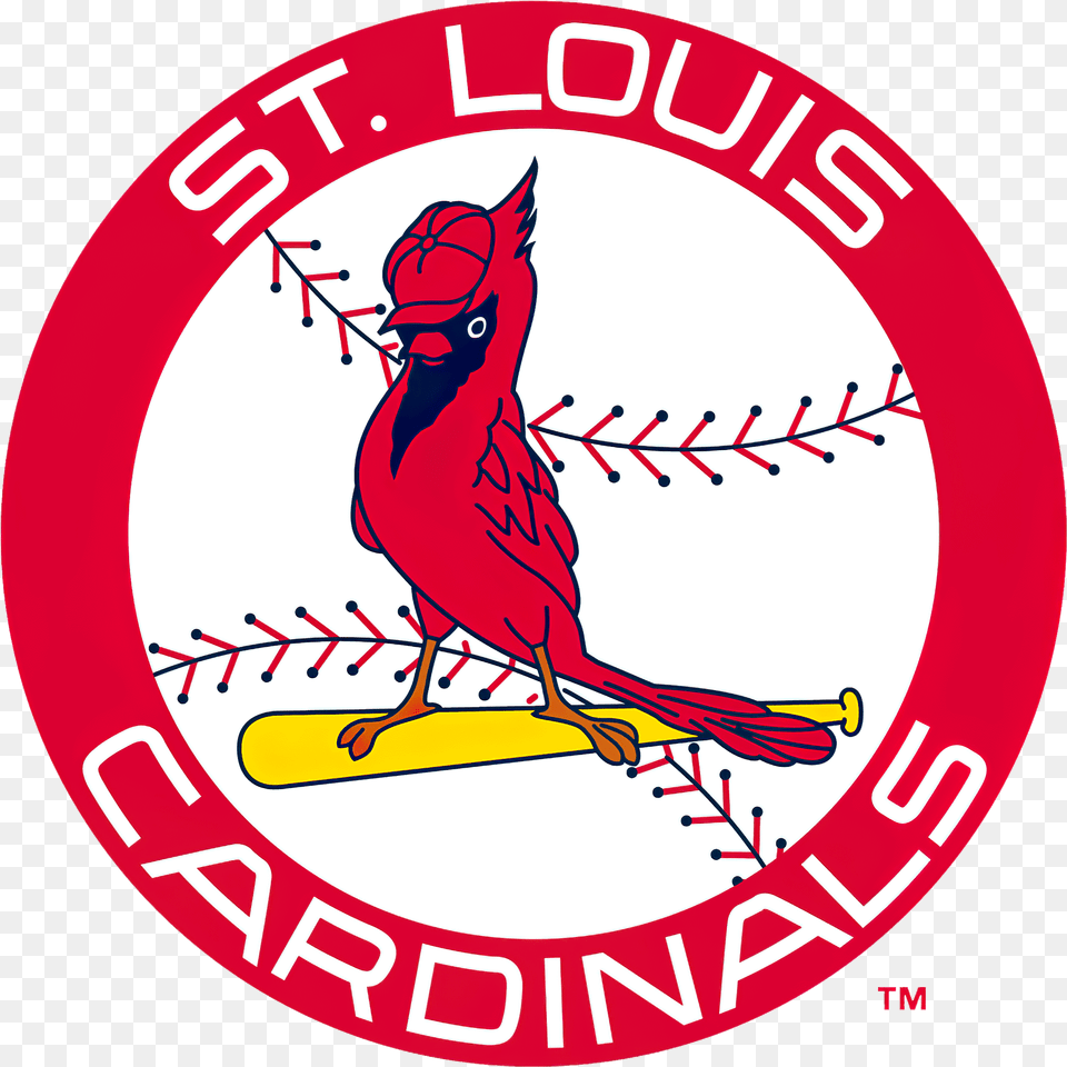 St Louis Cardinals, Logo, Animal, Bird, Cardinal Png Image
