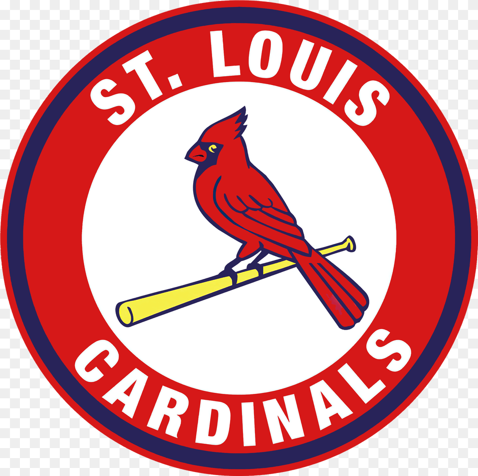 St Louis Cardinals, Animal, Bird, Cardinal Png Image