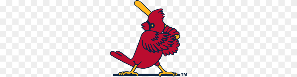 St Louis Cardinals Alternate Logo Sports Logo History, Animal, Bird, Cardinal, Jay Free Png Download