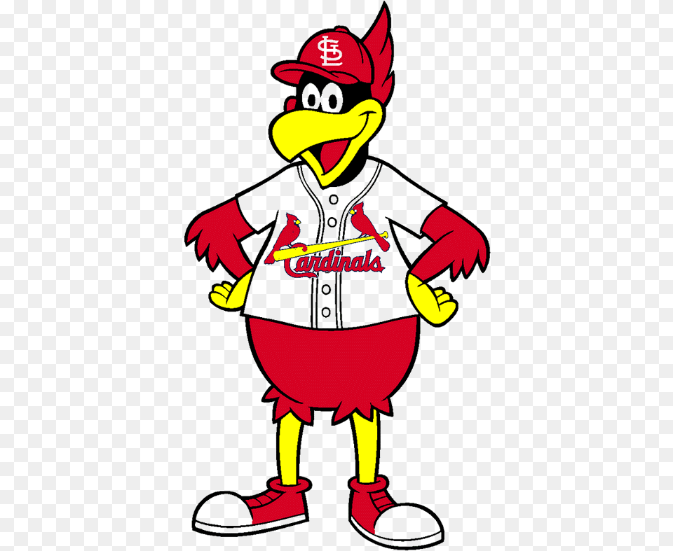 St Louis Cardinals Baseball St Louis Cardinals Fredbird, Baby, Person, Cartoon Png