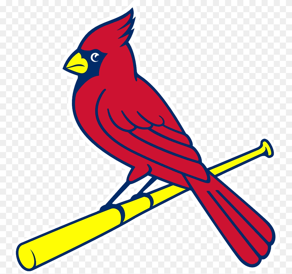 St Louis Cardinals Bird On Bat, Animal, Cardinal, Rocket, Weapon Free Png Download