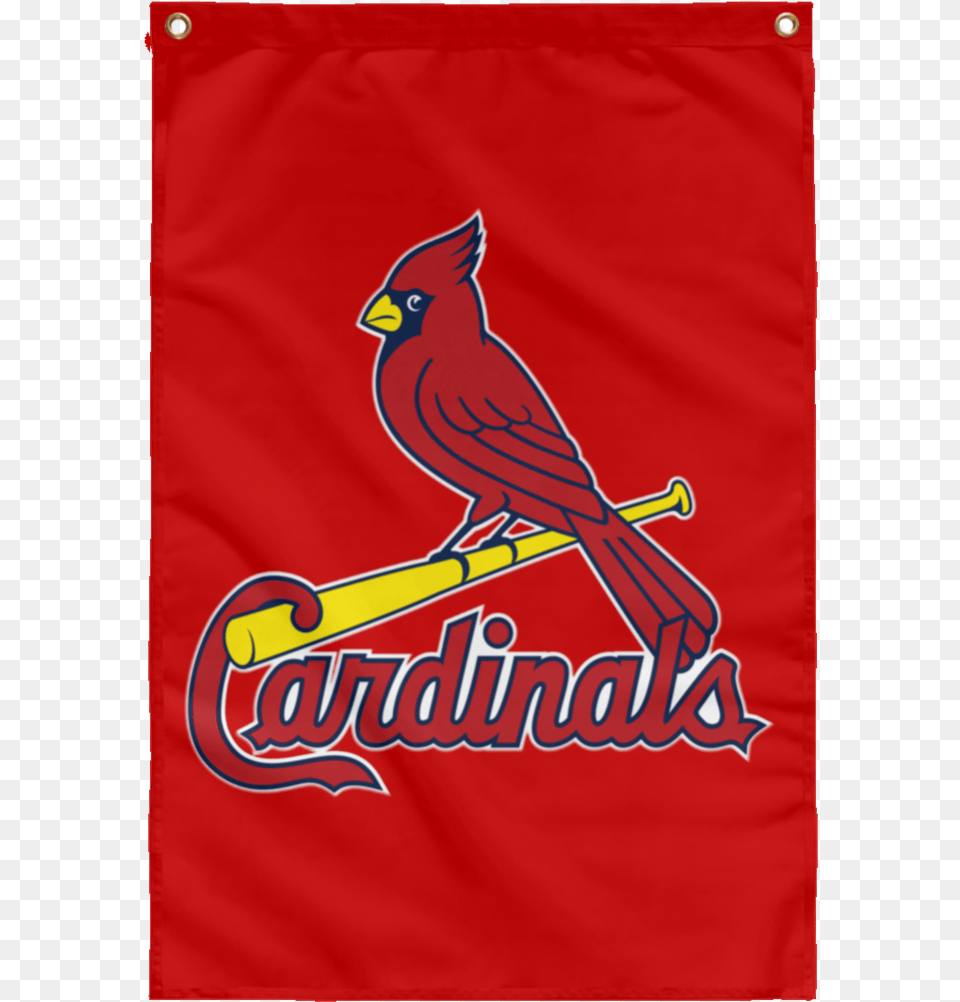 St Louis Cardinals Birthday, Animal, Bird, Cardinal Free Png Download