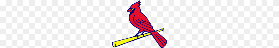 St Louis Cardinals Clip Art, Animal, Bird, Cardinal, Rocket Free Transparent Png