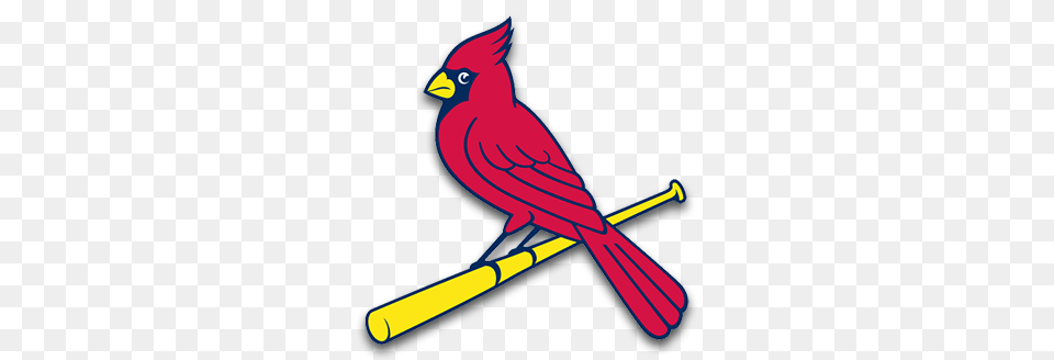 St Louis Cardinals Clipart Group, Animal, Bird, Cardinal, Person Png Image