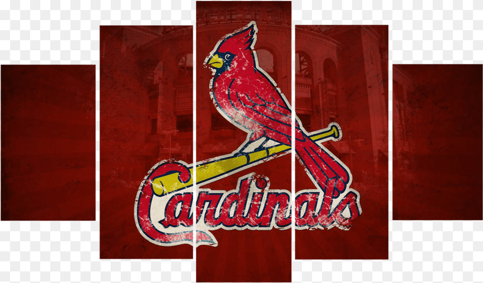 St Louis Cardinals Download St Louis Cardinals Cool Logo, Animal, Bird, Cardinal Free Transparent Png