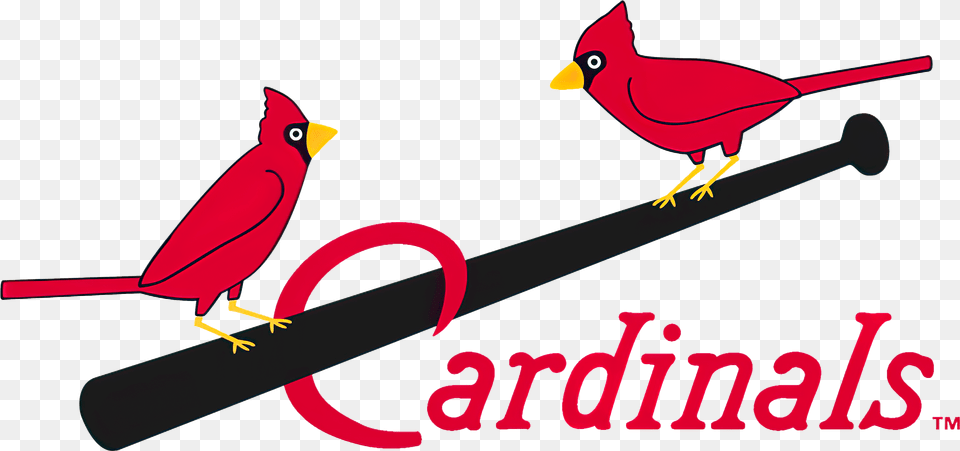 St Louis Cardinals Early Logo, Animal, Bird, Cardinal Png