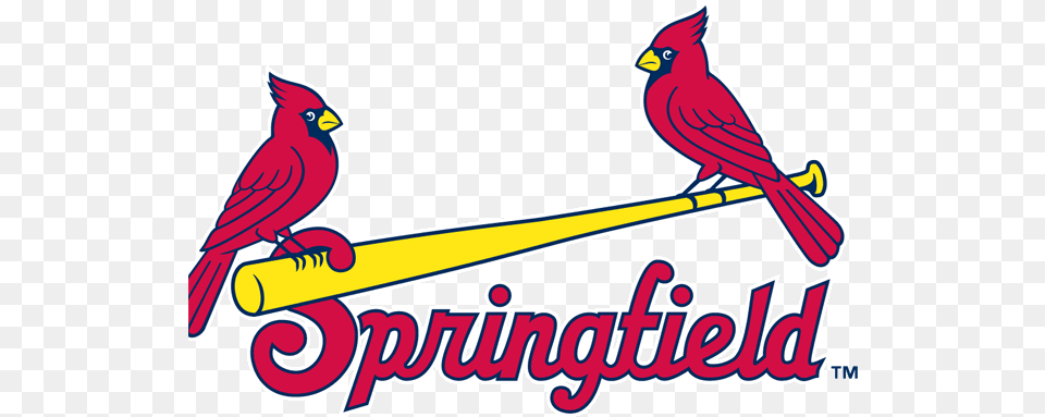 St Louis Cardinals Image Springfield Cardinals Logo, Animal, Bird, Cardinal Free Transparent Png