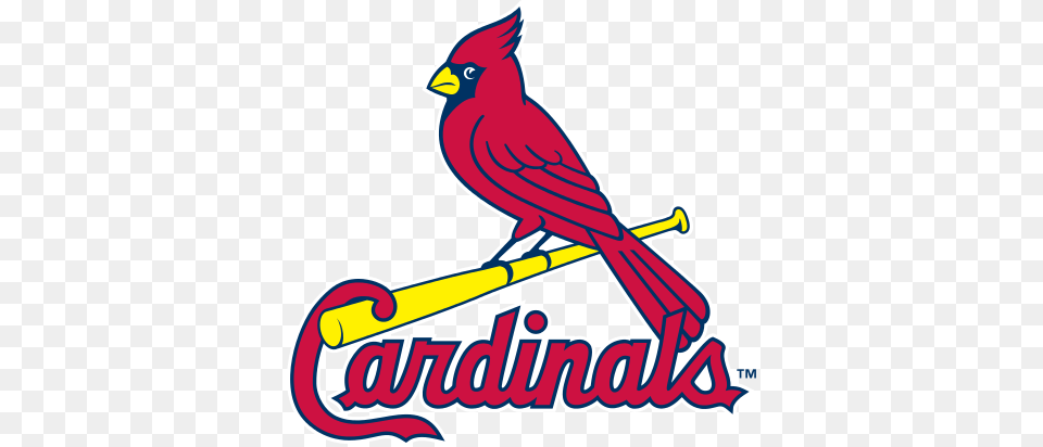 St Louis Cardinals Logo Cricut Cardinals, Animal, Bird, Cardinal Png