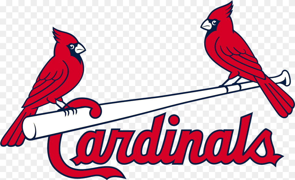 St Louis Cardinals Logo Transparent, Animal, Bird, Cardinal Free Png Download