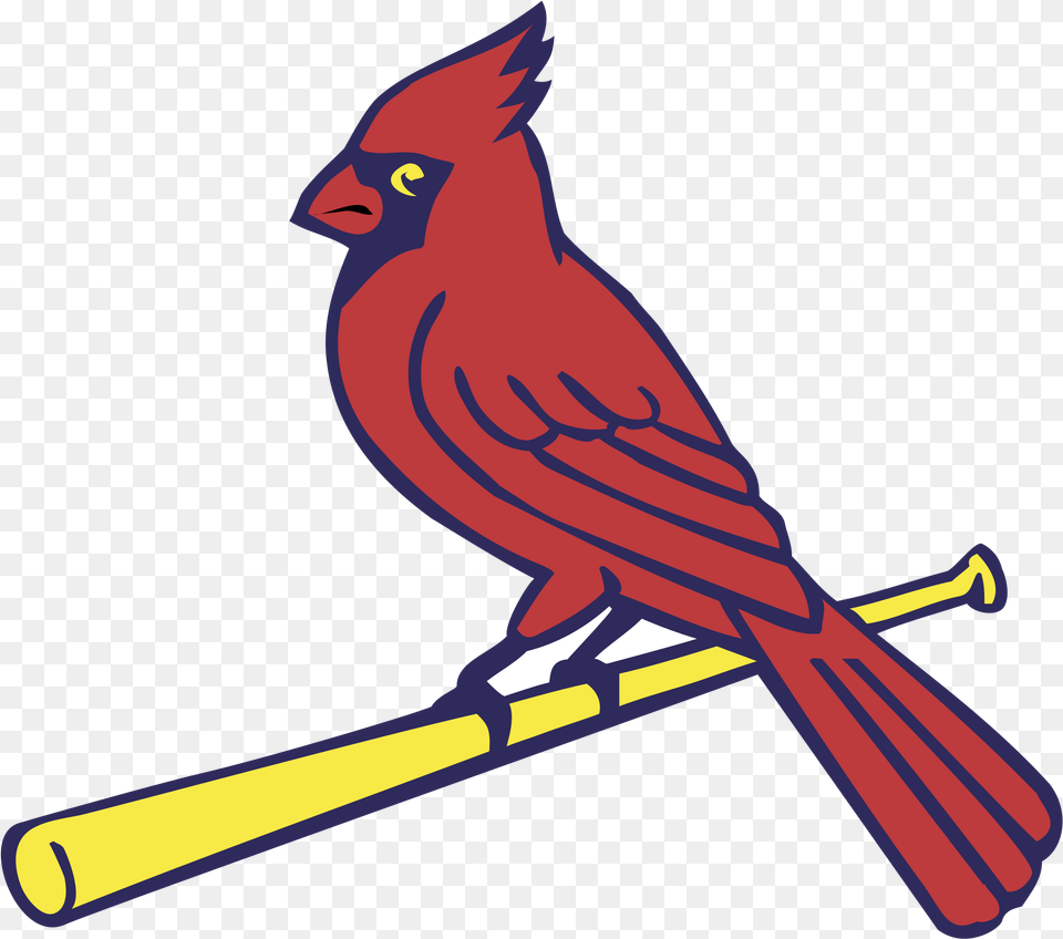 St Louis Cardinals St Louis Cardinals, Animal, Bird, Cardinal Png Image