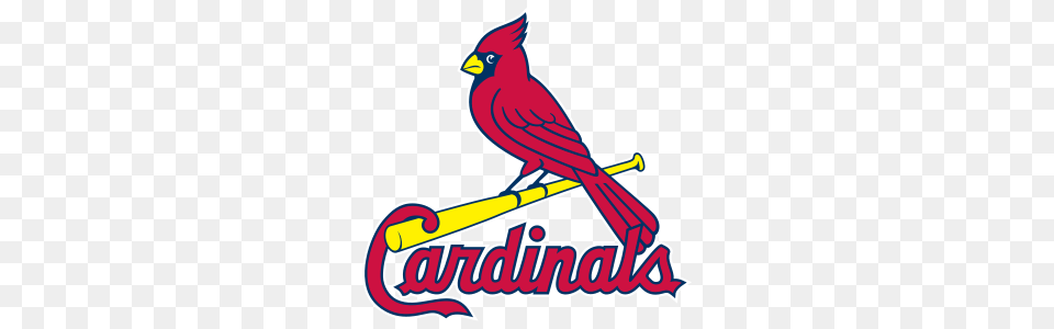 St Louis Cardinals Vs New York Mets Odds Stats, Animal, Bird, Cardinal Png Image