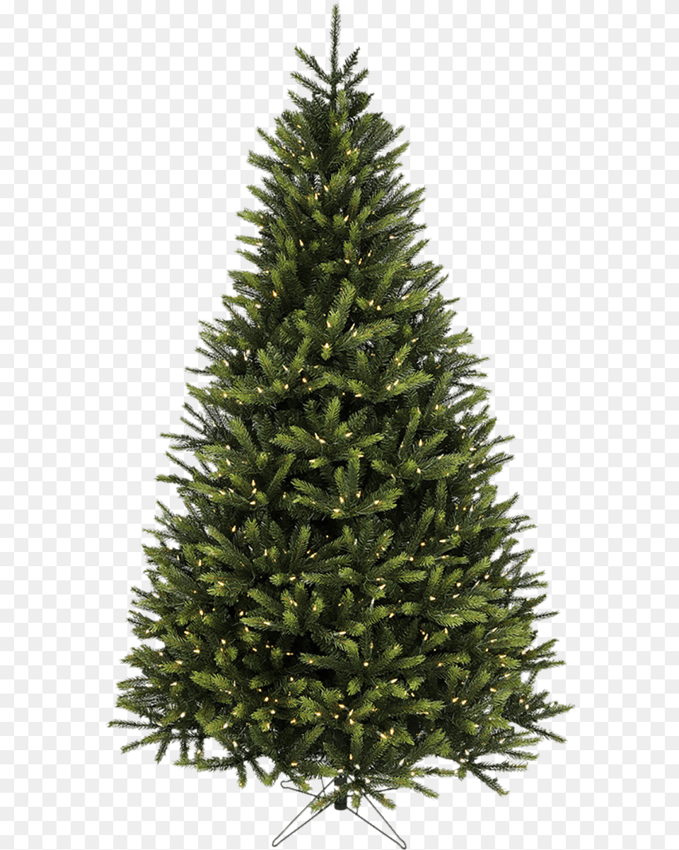 St Nicks Christmas Store Christmas Tree, Pine, Plant, Fir, Christmas Decorations Free Transparent Png