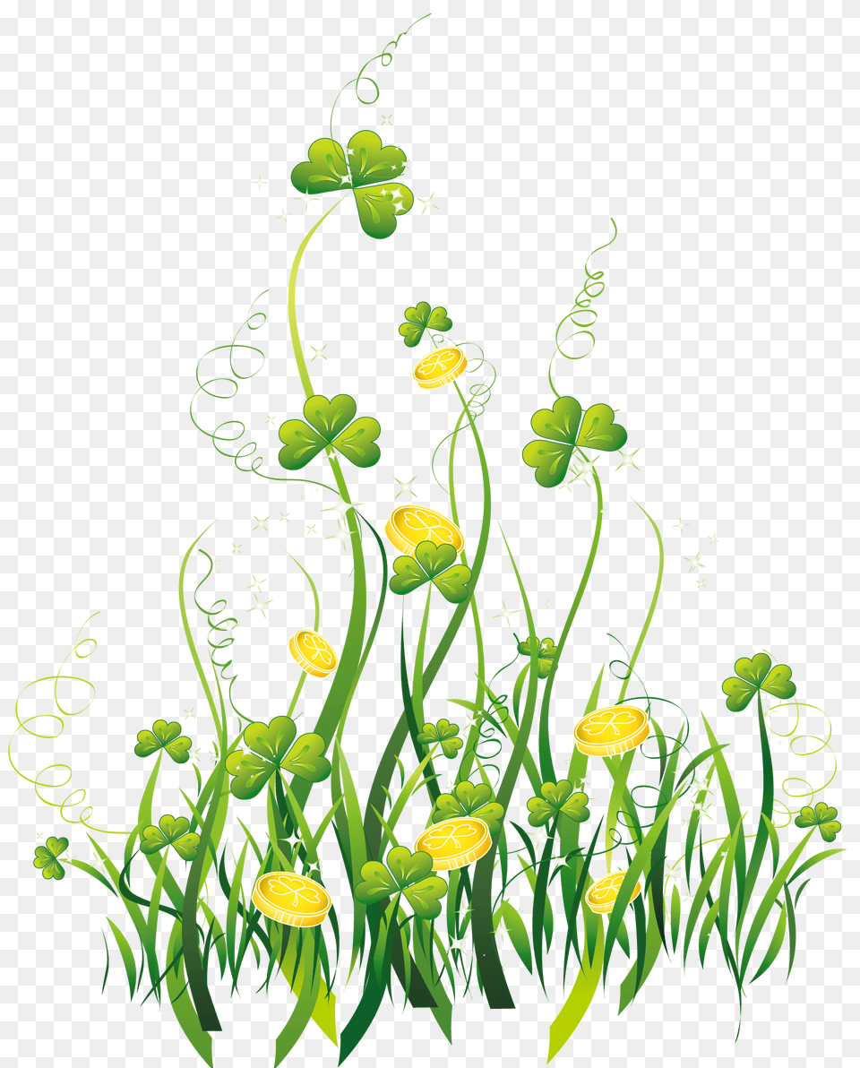 St Patrick Shamrocks With Gold Coins Decor Clipart Picture, Art, Floral Design, Graphics, Green Free Png