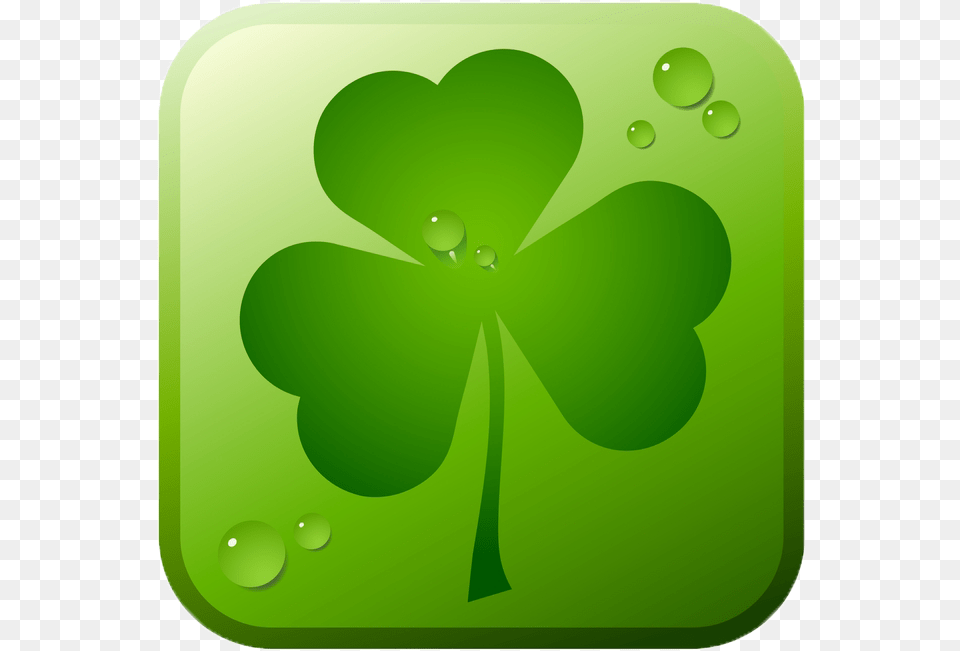 St Patricks Day Shamrock, Green, Leaf, Plant, Flower Png Image