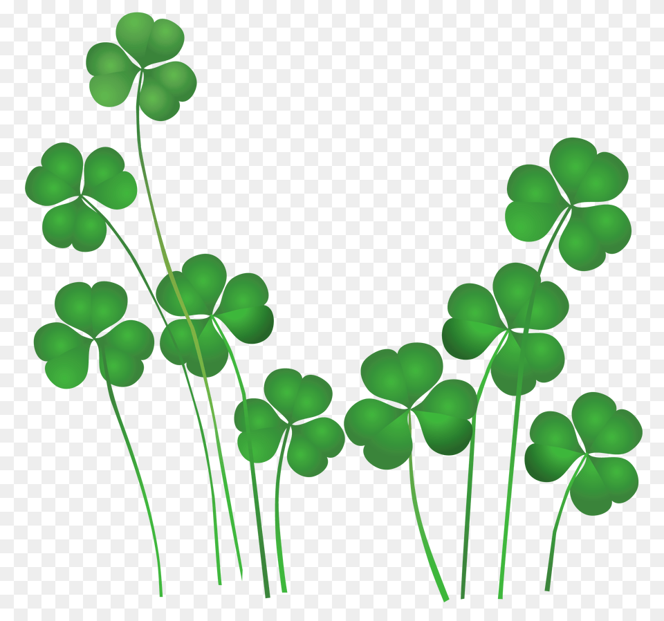 St Patricks Day Shamrock Clip Art Free Image, Green, Leaf, Plant Png