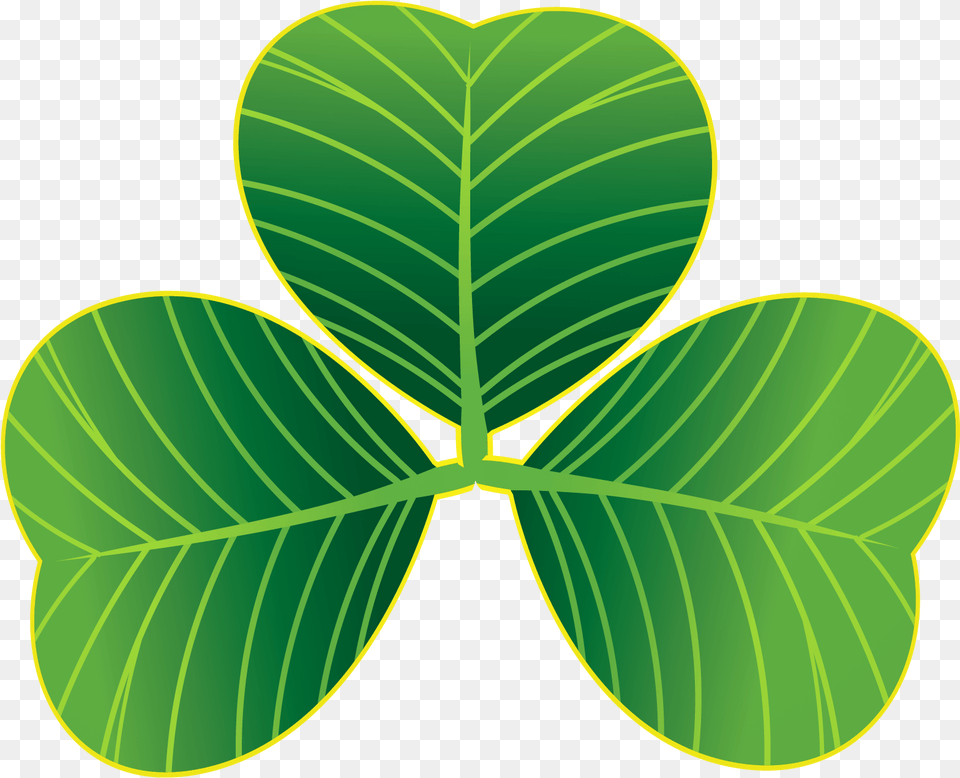 St Patricks Day Shamrocks Clipart Saint Patrick, Leaf, Plant, Chandelier, Lamp Free Png