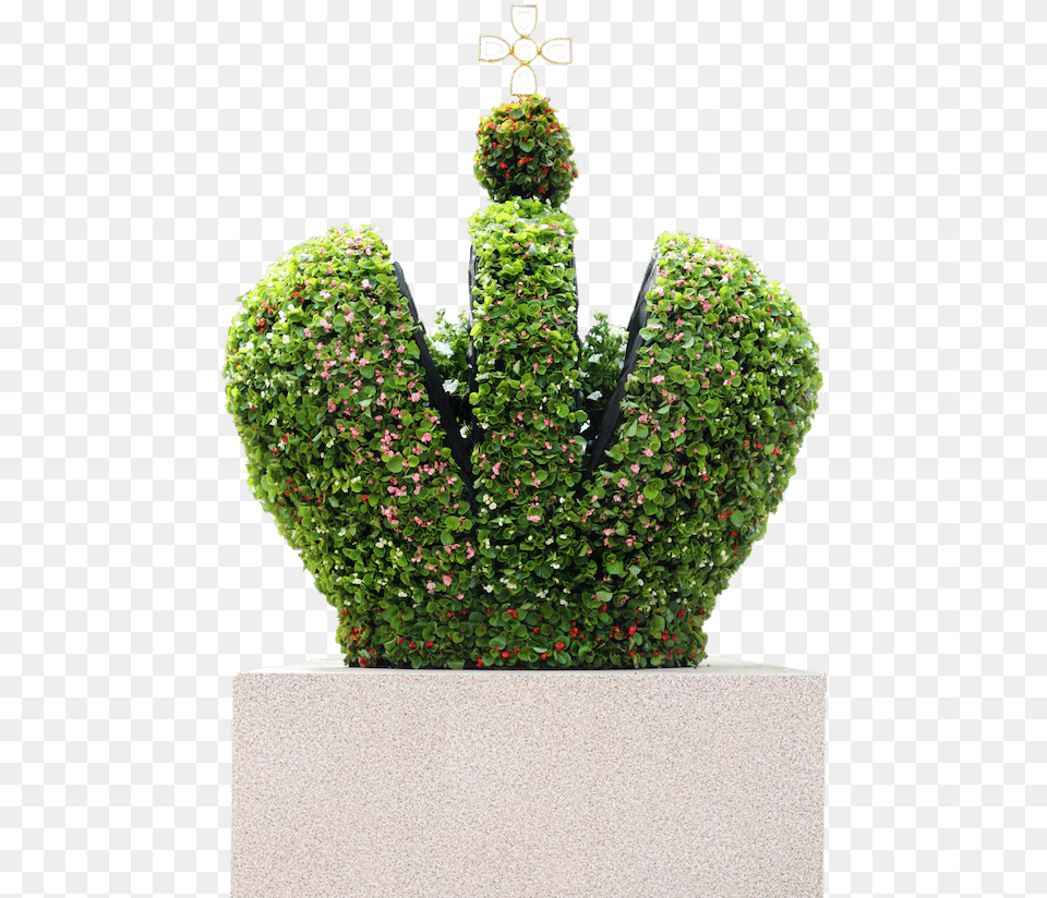 St Petersburg Gardens Houseplant, Fence, Hedge, Potted Plant, Plant Png