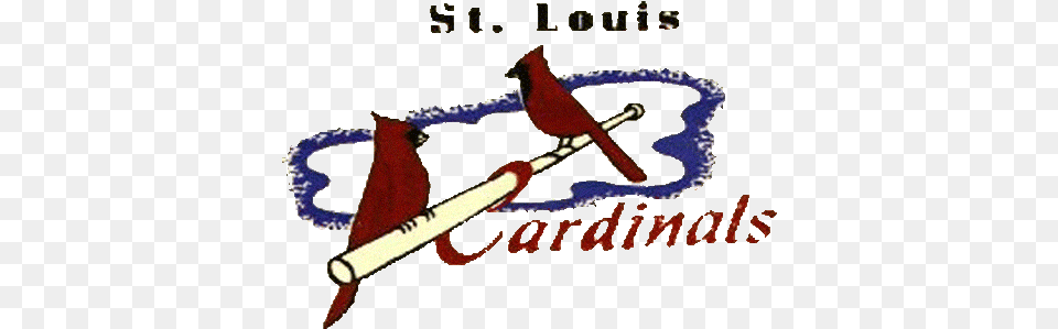 St St Louis Cardinals, Animal, Bird, People, Person Free Png Download